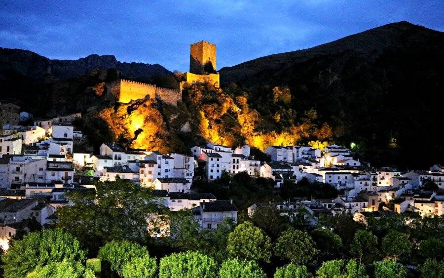 Césped bajo cielo despejado